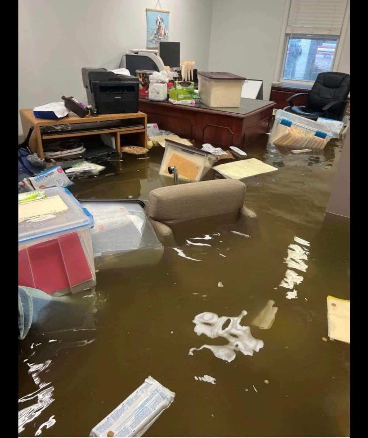 The inside of Stray Paws Adoptables, a St Louis-area rescue facility for animals, is seen flooded after record-breaking rainfall fell in the Missouri city on Tuesday (Stray Paws Adoptables/Facebook)