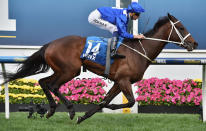 Winx wins the Cox Plate in record time with jockey Hugh Bowman. Winx gave Chris Waller his first Cox Plate winner.