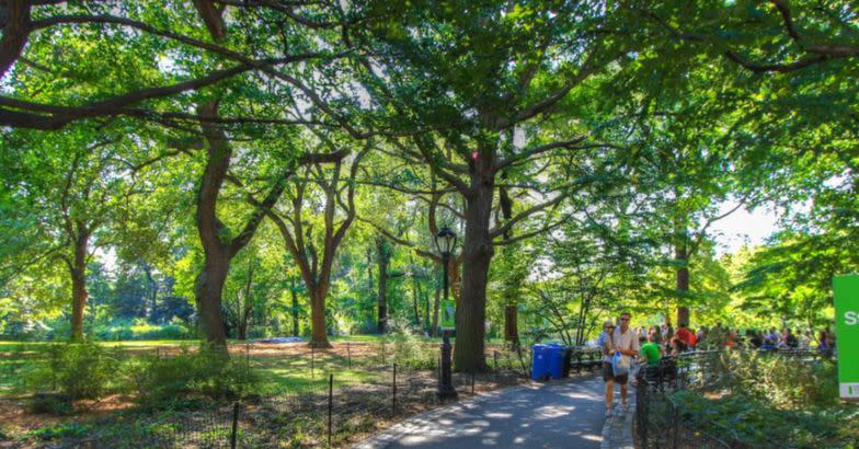 Central Park Virtual Guided Tour