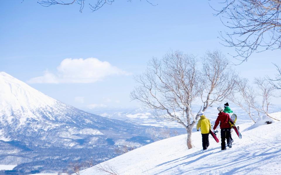 niseko