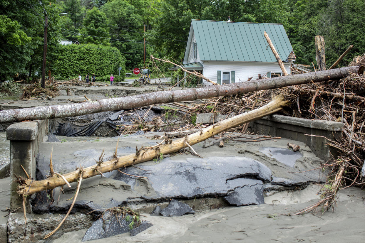 Downed trees lay across a damaged bridge.