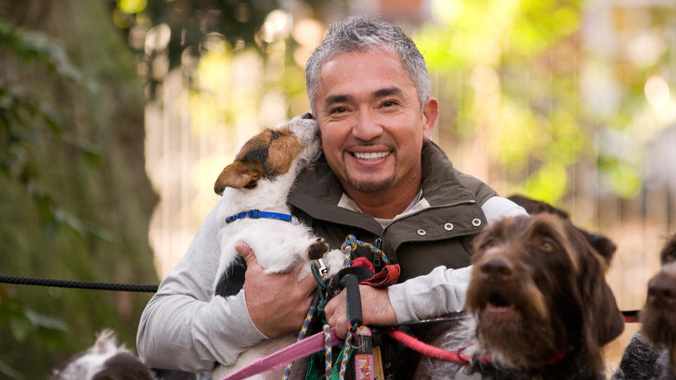 Cesar Millan, dog trainer to the stars, London, Britain - 25 Nov 2009Cesar Millan, dog trainer to the stars,brings his hit tour to the UK for the first time in March 2010.