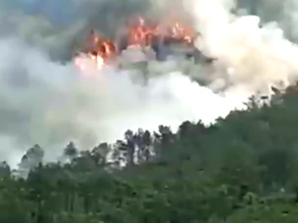 A screengrab of smoke billowing above a bamboo forest after a China Eastern Airlines passenger flight crashed with 132 people aboard (Viral Press/Twitter)