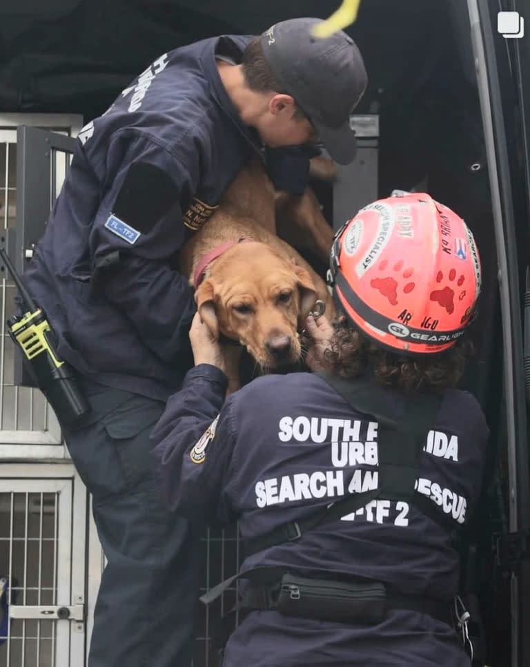 El cuerpo de bomberos rescatistas de Miami Dade Fire Rescue utiliza perros entrenados para la búsqueda de sobrevivientes tras el colapso del complejo de condominios Champlain Towers South en Surfside, Miami 