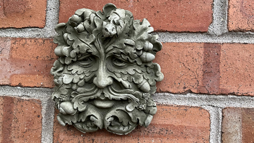 A green man pic, taken on the iPad Pro 2022.