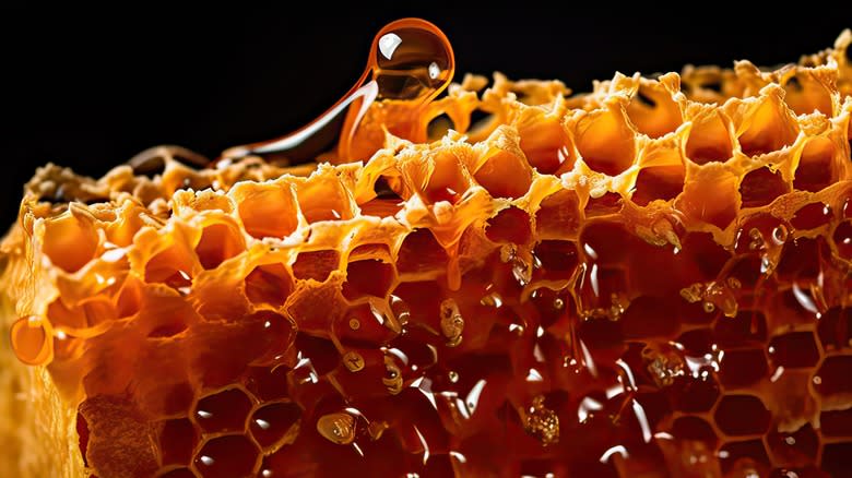 raw honeycomb with honey