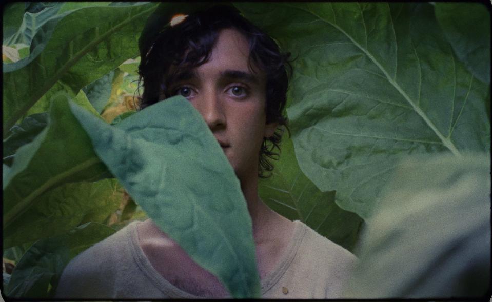 9) Happy as Lazzaro