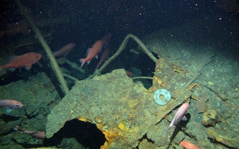 The search led by Find AE1 Limited, and was funded by the Royal Australian Navy and the Silentworld Foundation, with assistance from the Submarine Institute of Australia - Credit:  REUTERS