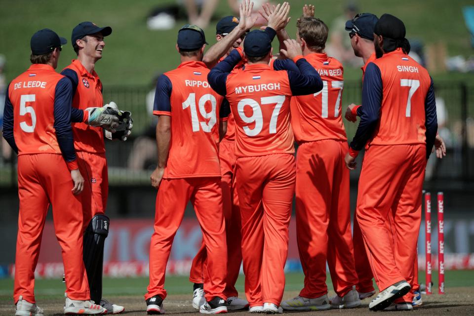 Netherlands, pictured here after the wicket of New Zealand&#39;s Will Young in the second ODI.