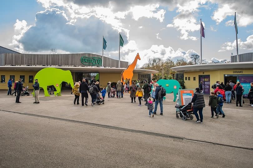 Chester Zoo