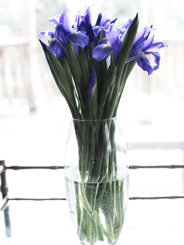 Blue Irises