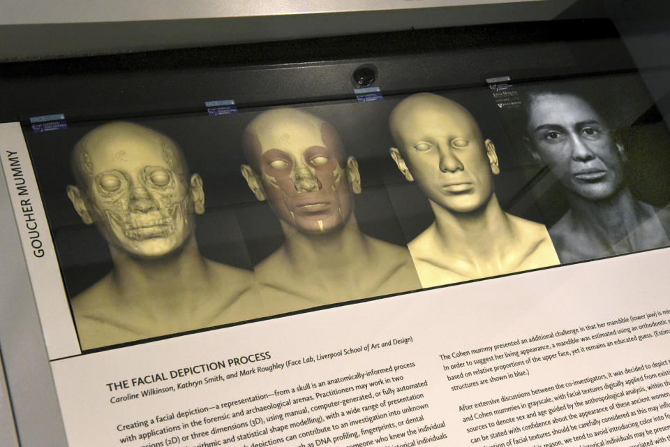Detail of the facial depiction process for the Goucher mummy at the new Johns Hopkins Archaeological Museum exhibit, "Who Am I? Remembering the Dead Through Facial Reconstruction", in Baltimore. FaceLab, Liverpool John Moores University, worked with Hopkins to create facial depictions of the Goucher mummy, ca. 4th c. BCE, and the Cohen mummy, ca. 664 - 525 BCE. (Amy Davis/The Baltimore Sun via AP)