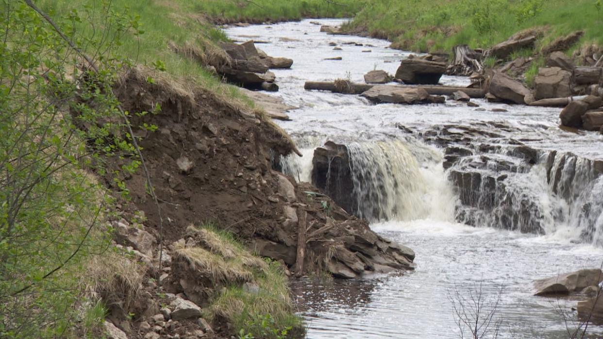 Erosion can be seen along Campbell Creek in Fredericton's Marysville neighbourhood. The erosion problems started less than six months after a restoration project was completed, according to a resident of the area. (Mike Heenan/CBC - image credit)