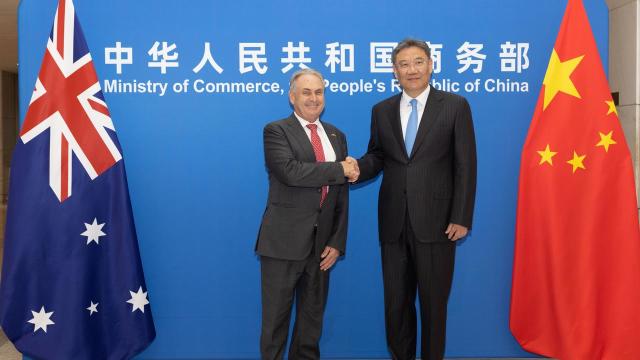 Trade Minister Don Farrell with Chinese counterpart Wang Wentao.