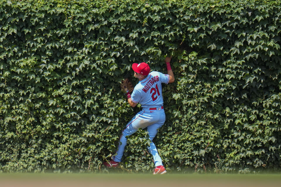 St. Louis Cardinals center fielder Lars Nootbaar goes into the ivy as he catches a fly ball from Chicago Cubs' Mike Tauchman during the fourth inning of a baseball game Saturday, July 22, 2023, in Chicago. (AP Photo/Erin Hooley)