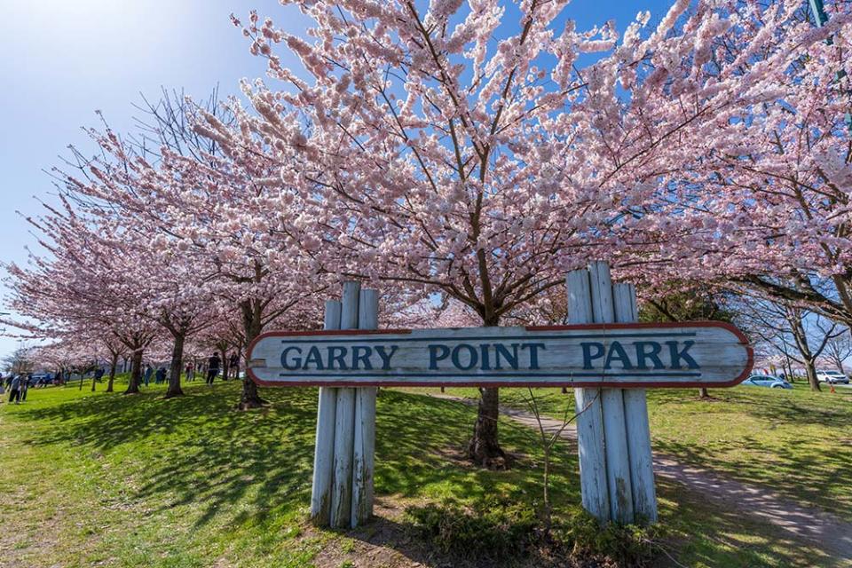 溫哥華的加利角公園（Image Source : Getty Creative）