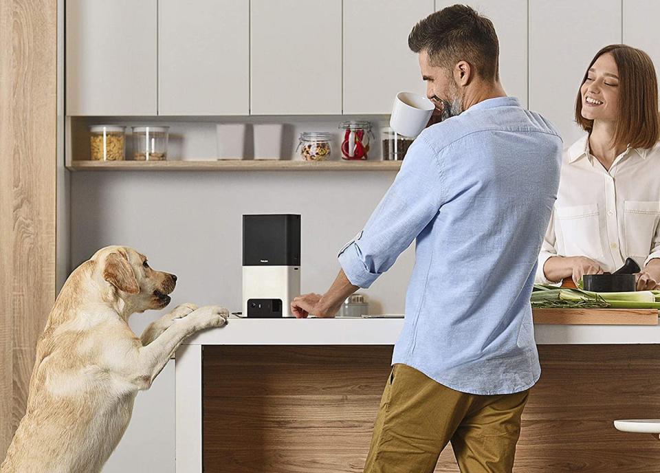 Pet owners are loving the Petcube Bites 2 Wi-Fi Pet Camera - and it's on sale now. Image via Amazon.