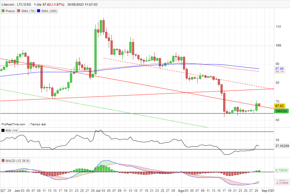 Los tenedores de Litecoin aumentaron en el último año