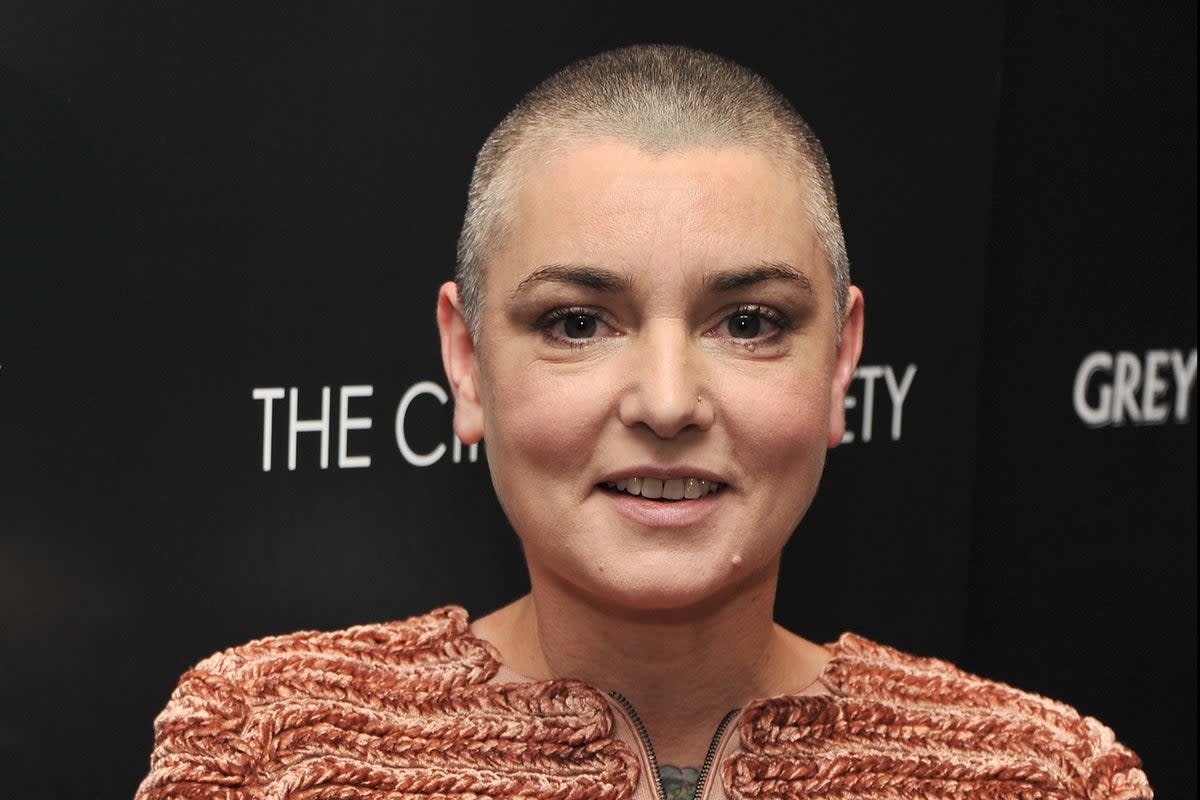 Sinead O’Connor was in talks for her own Hollywood biopic  (Getty Images)