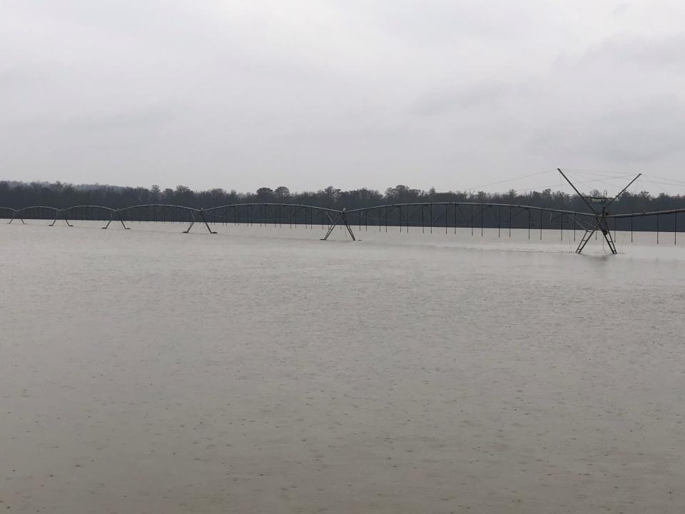 A rural Tennessee field sits under flood water on Tuesday, Feb. 18, 2020, in Halls, Tenn. Forecasters expected more heavy rains in parts of the flood-ravaged South on Tuesday. (AP Photo/Adrian Sainz)