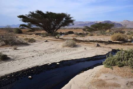 Crude oil streams through the desert in south Israel, near the village of Beer Ora, north of Eilat, December 4, 2014. REUTERS/Yehuda Ben Itach