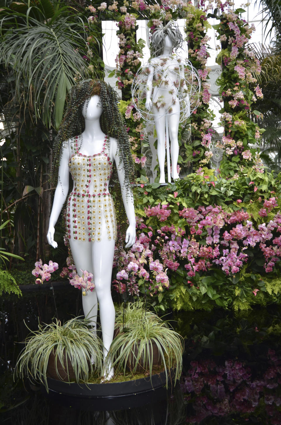 A fashion-creation inspired by nature from Dauphinette created by designer Olivia Cheng in "The Orchid Show: Florals in Fashion" at The New York Botanical Garden, Saturday, Feb. 17, 2024, in the Bronx borough of New York. The plant based outfits are made from living material. A mannequin in back wears a headdress of Tillandsia air plants suspended with an orb to create a floating effect on a platform of colorful orchids. (AP Photo/Pamela Hassell)