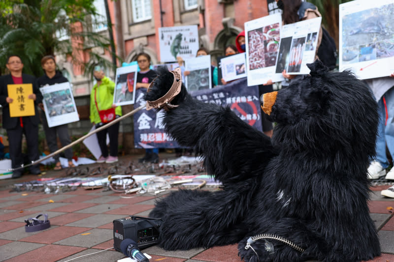 動保團體演出行動劇  籲禁止金屬套索陷阱（2） 搶救野生動物聯盟18日到監察院大門口舉行記者會， 現場演出行動劇呈現黑熊遭人為金屬套索陷阱受困的 情形，呼籲全面禁止「山豬吊」等殘忍獵具，保護野 生動物。 中央社記者王騰毅攝  113年4月18日 