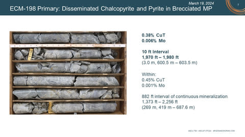 ECM-198 Primary Mineralization (Photo: Business Wire)