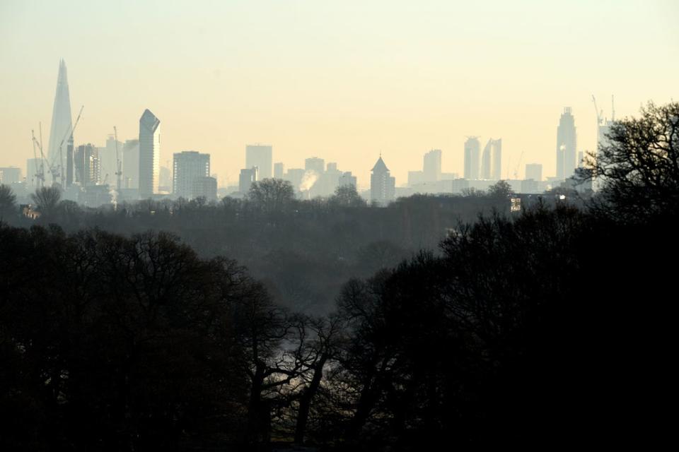 A view across to the City of London from Richmond Park (PA)