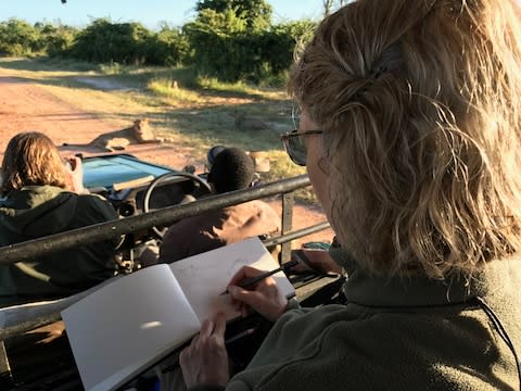 Sketching a lion from the jeep