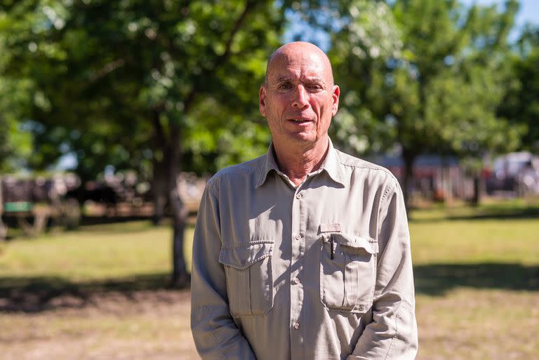 Martín Goldstein, director de la entidad de los criadores de la raza Brangus