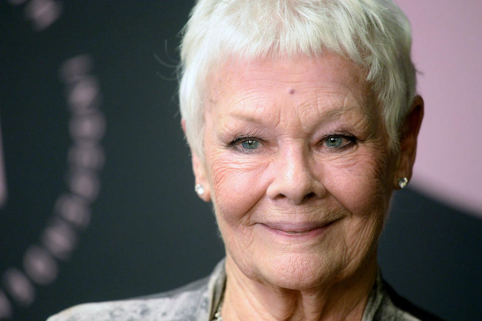 Picture of Dame Judi Dench on the red carpet previous to opening up about giving up driving thanks to her failing eyesight. (Getty Images)