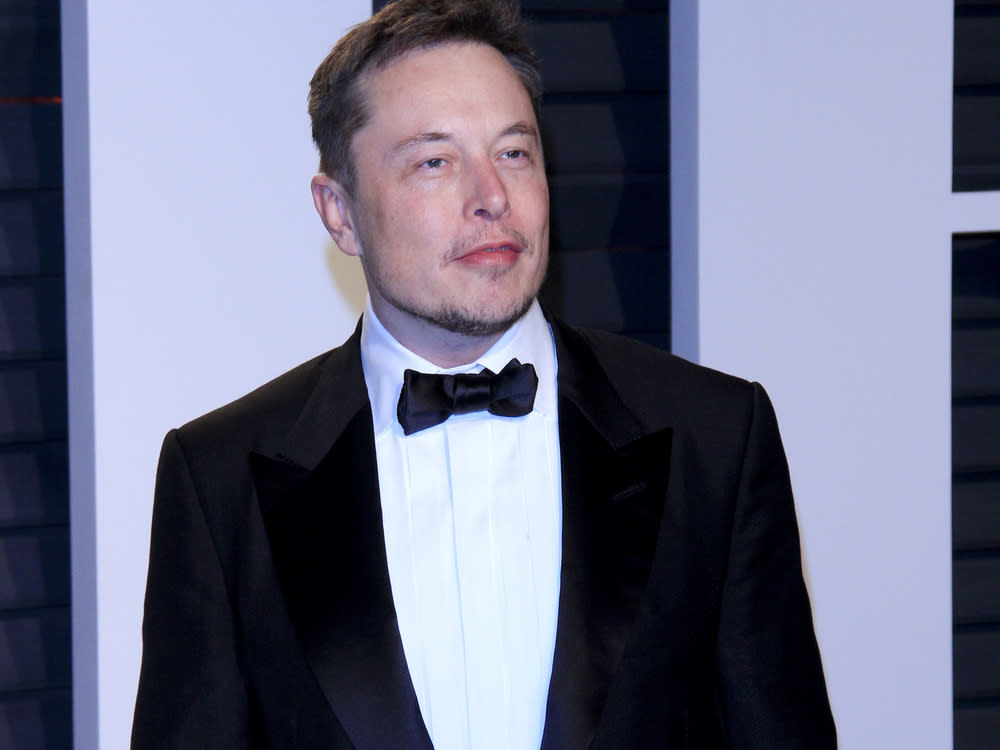 Elon Musk hat sich gegen Affären-Gerüchte gewehrt. (Bild: Kathy Hutchins / Shutterstock.com)