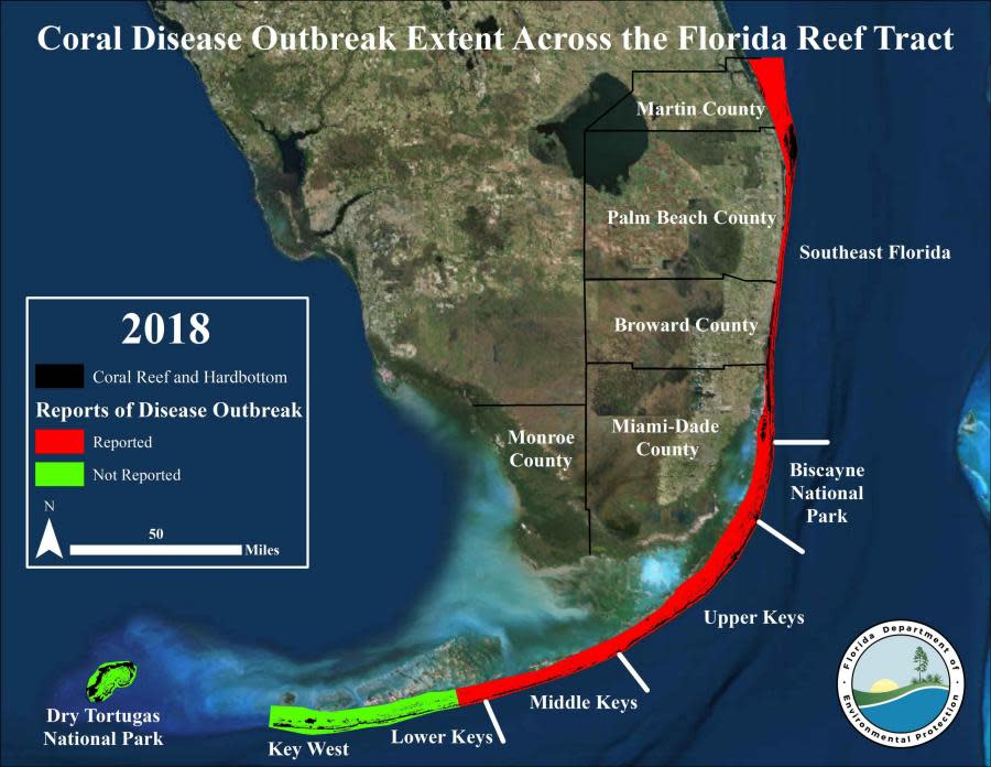 Coral Disease along the Florida Reef Tract