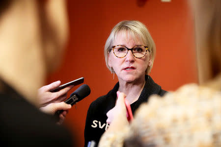 Sweden's Foreign Minister Margot Wallstrom comments a meeting with North Korean Foreign Minister Ri Yong Ho, in the Swedish house of parliament in Stockholm, Sweden March 16, 2018. TT News Agency/Soren Andersson via REUTERS