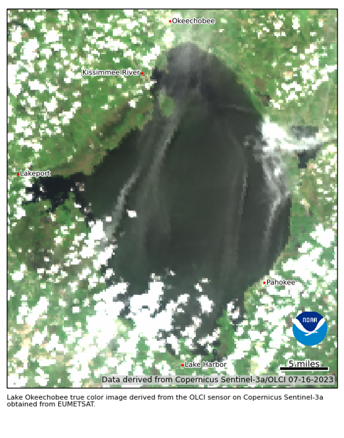 Lake Okeechobee is covered in toxic algae (NOAA)