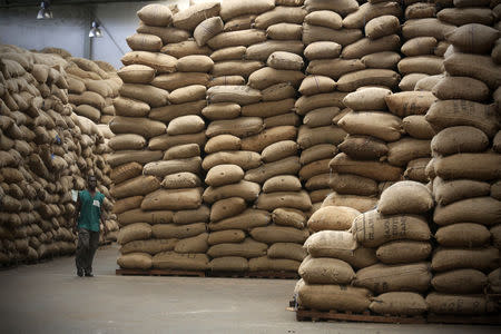 An employee of Olam International walks in a cashew warehouse in Bouake July 10, 2014. REUTERS/Thierry Gouegnon/Files