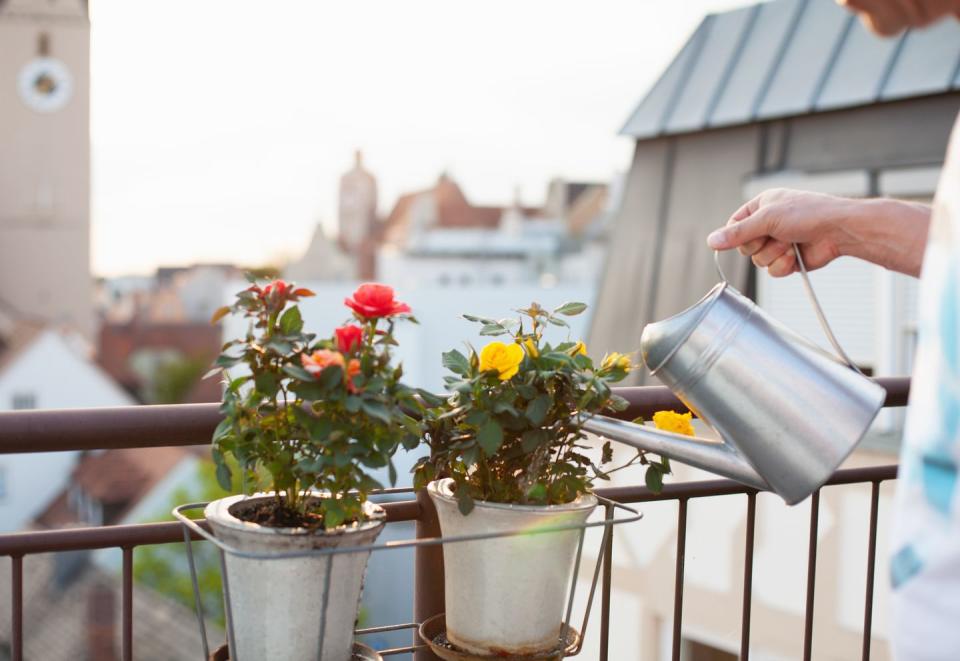 balcony garden