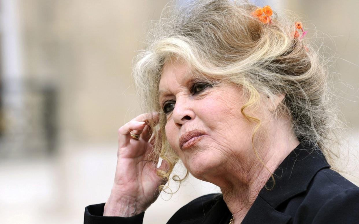  Brigitte Bardot in 2007 - AFP