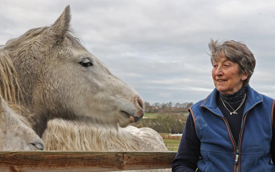 Knight with one of his Connemara ponies at West Lockinge Farm