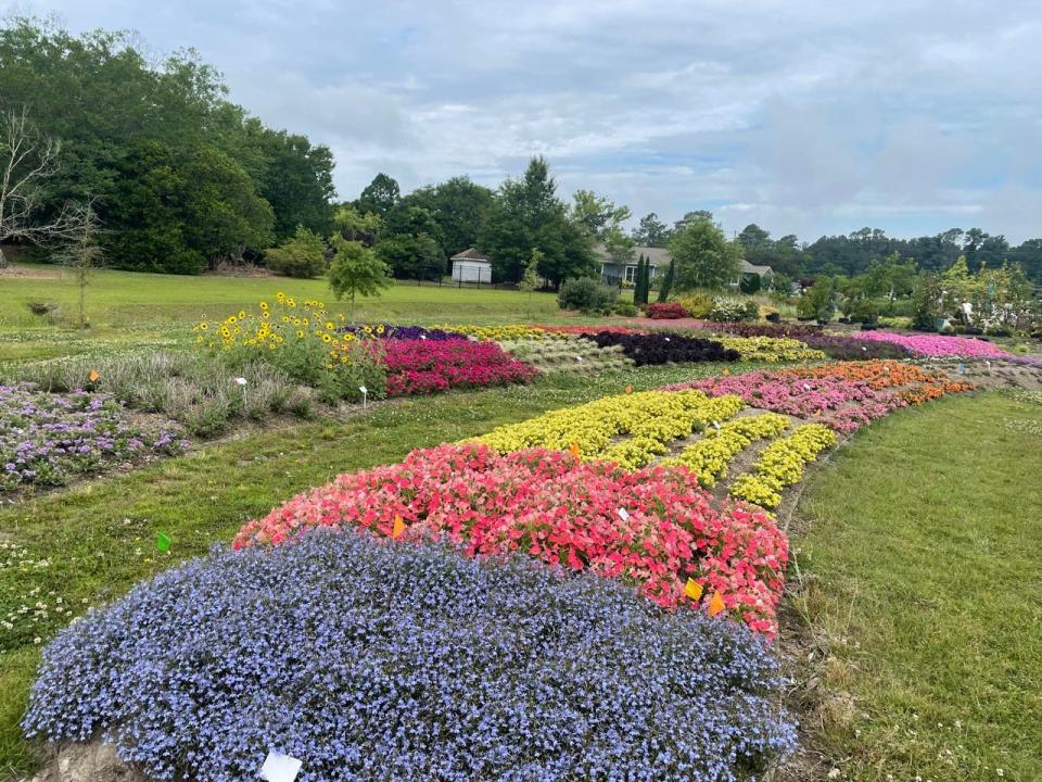 The Gardens of Southeastern North Carolina is located at 985 Johnson Nursery Road, Willard.