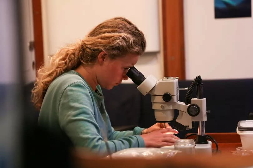 Emily Duncan, a scientist from Exeter University based at Penryn Campus was part of the 14-crew all-female research sailing expedition to the Great Pacific Garbage Patch in 2018. A film called X Trillion has now been released documenting the expedition