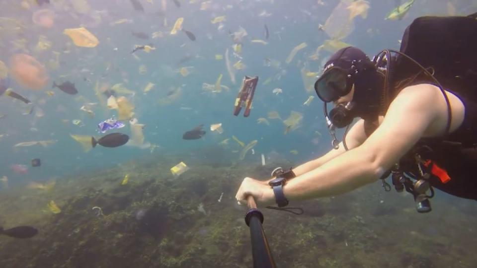 <span>Las impresionantes imágenes fueron registradas en la isla de Nusa Penida, en Bali. Foto: Facebook/cheeseandjamsandwic</span>