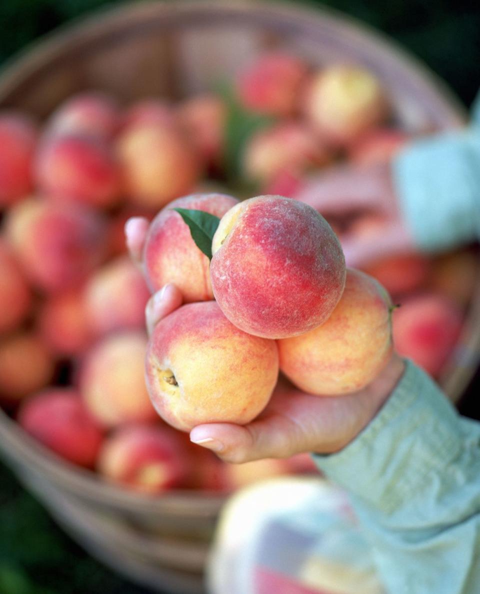 Bishop's Orchards