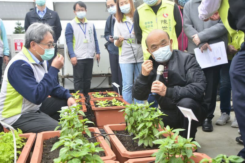 葉元之直批蘇揆失格，「照蘇的話，以後九層塔可取代核酸檢測了，講這種話就是無知也充滿歧視，把別人的傷痛掛在嘴上講風涼話，完全沒有同理心，根本不配做人民的父母官」！（圖片來源：中央社）