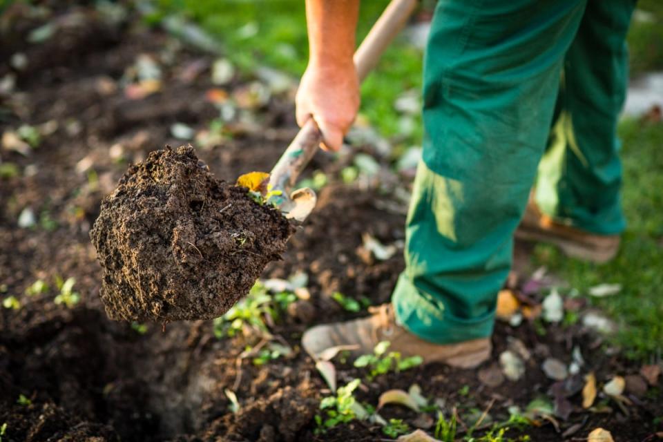 Man using shovel to dig soil