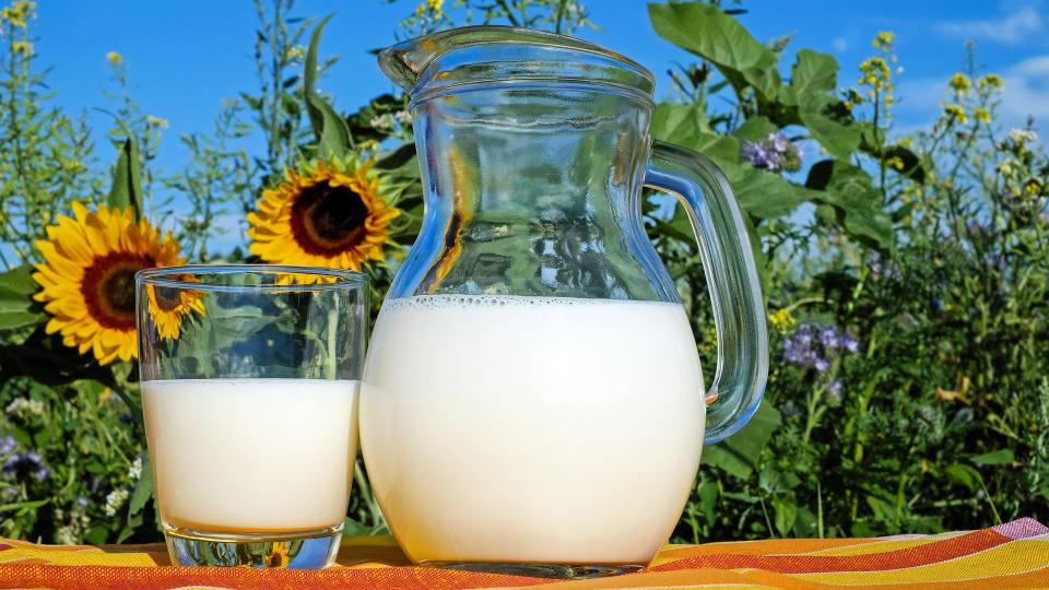 4. MILK, DAIRY AND SOY MILK