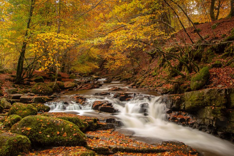 The Birks of Aberfeldy, Perthshire - getty