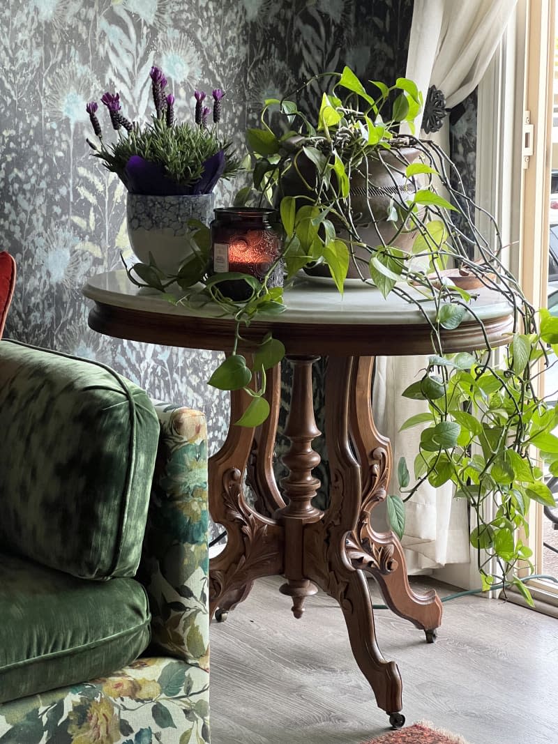 Detail of green sofa and side table with plants