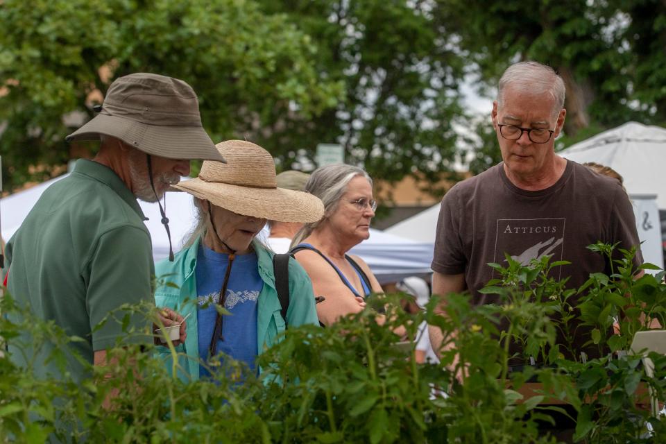 Customers shop for plants at the Larimer County Farmers' Market in Fort Collins on June 18.